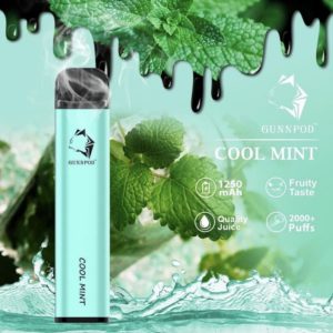 Gunnpod 2000 puffs – Cool Mint