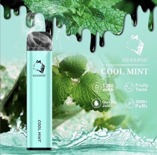 Gunnpod 2000 puffs – Cool Mint