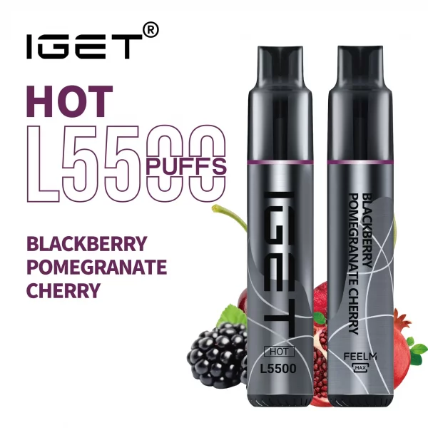 5500 Puff IGET HOT - Blackberry Pomegranate Cherry