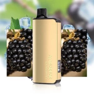 Alibarbar INGOT 9000 Puffs - Blackberry Ice