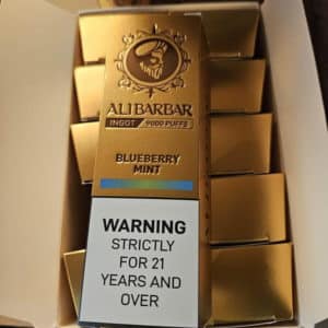 Alibarbar INGOT 9000 Puffs - Blueberry Mint